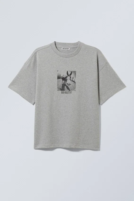 Boxy Printed Graphic T-Shirt – Grey – Donkey Reality Boxy Printed Graphic T-Shirt – Grey – Donkey Reality