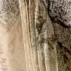 Low Rise Mermaid Midi Skirt – Beige – Snakeskin-Patterned Low Rise Mermaid Midi Skirt – Beige – Snakeskin-Patterned