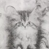Oversized Printed T-Shirt – Kittens Oversized Printed T-Shirt – Kittens