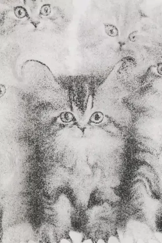 Oversized Printed T-Shirt – Kittens