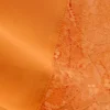 Short Satin Lace Shorts – Orange Short Satin Lace Shorts – Orange