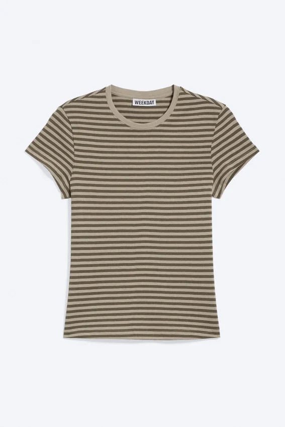Slim Short-Sleeved Cotton T-Shirt – Dark & Light Mole Stripes Slim Short-Sleeved Cotton T-Shirt – Dark & Light Mole Stripes