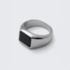 Tiger Eye Signet Ring – Silver – Black Stone