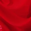 Transparent Drape Asymmetric Long Sleeve – Red Transparent Drape Asymmetric Long Sleeve – Red