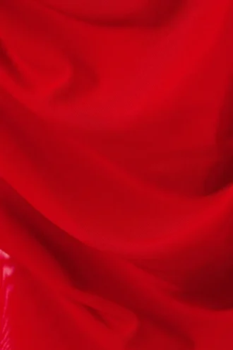 Transparent Drape Asymmetric Long Sleeve – Red