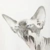 Wide Oversized Printed T-Shirt – White – Sphynx Cat Wide Oversized Printed T-Shirt – White – Sphynx Cat